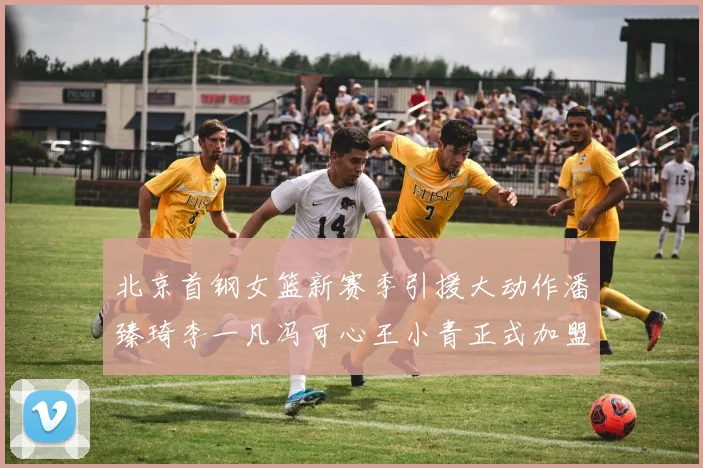 北京首钢女篮新赛季引援大动作潘臻琦李一凡冯可心王小青正式加盟